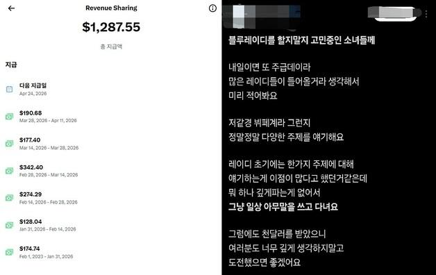 "X로 돈 벌어요" 블루레이디 열풍…부업 뛰어드는 2030 여성들