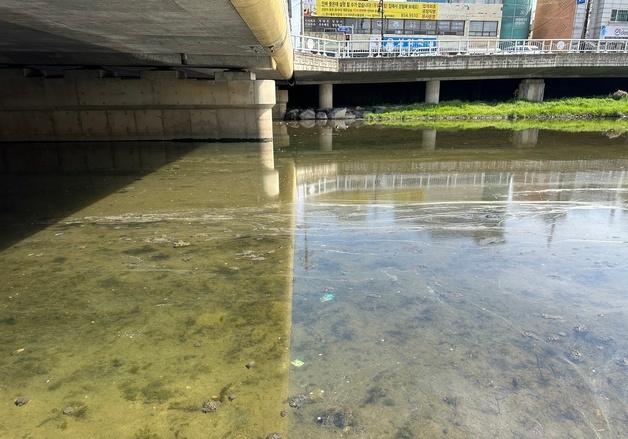 우수·오수 분리해도 수질 안 좋은 충주천 대책은?