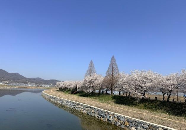 음성군, 연말 준공 목표로 응천공원 명소화 사업 착수