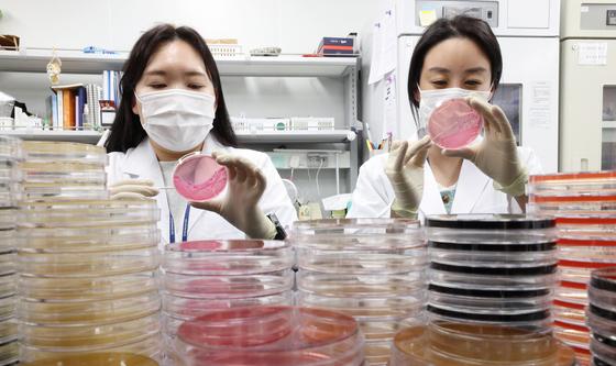 '때이른 무더위 식중독 조심하세요'