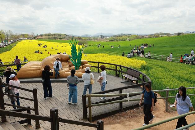 고창 청보리밭 축제 18일 개막…3주간 봄 축제 이어진다