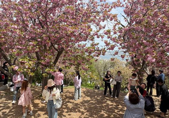 낮 30도 "이게 여름이야, 봄이야"…전국 관광지 반팔 상춘객 '물결'(종합)
