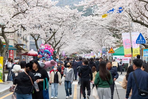 "벚꽃 야경 구경하세요" 통영 봉숫골 꽃나들이 축제 4~5일