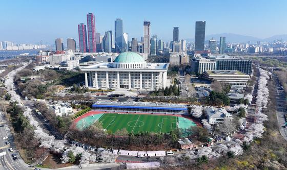 여의도 감싼 벚꽃물결