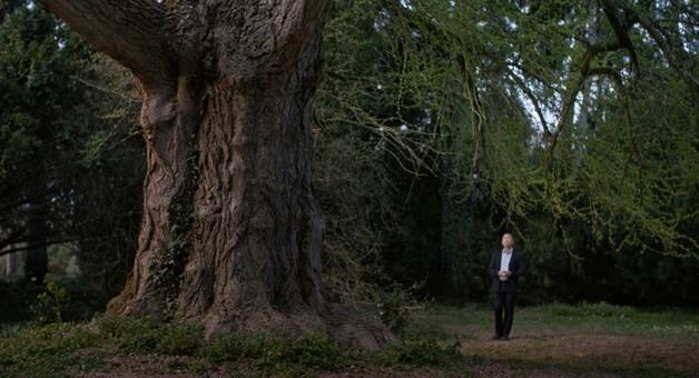 양조위 '침묵의 친구', 식물과도 친구가 된다면…따뜻한 고찰