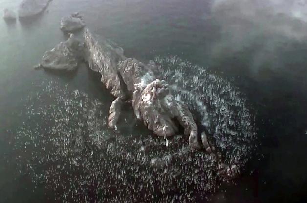 "北, 집속탄으로 공군력 '구멍' 메운다"…'핵 없이도 전쟁 가능' 함의