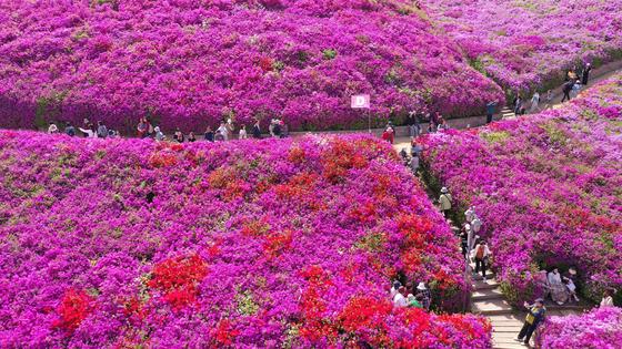 주말 '낮 최고 27도' 초여름 더위…낮과 밤 기온 차 20도 '주의'