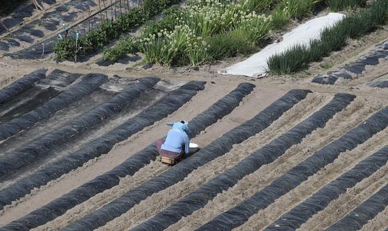 '올해 농사는 어찌 되려나'