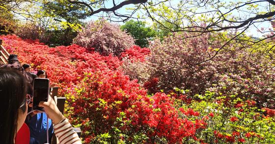 [오늘의 날씨]전북(25일, 토)…대체로 맑고, 새벽~아침 안개