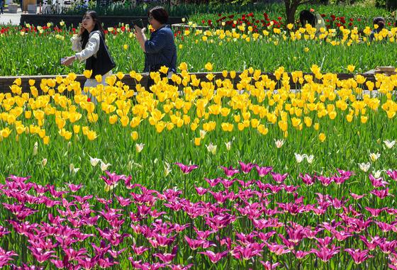 "화창한 봄날 꽃보러 가자"…전국 축제장 나들이객 북적(종합)