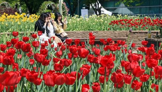 꽃밭에서 남기는 소중한 추억