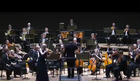 20억 바이올린 바닥으로 '쿵'…공연장 뒤흔든 지휘자의 '아찔한 열정'