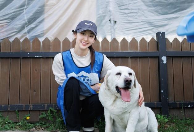 "입양으로 이어지길"…블루엔젤봉사단, 안성 보호소서 '소풍 봉사'