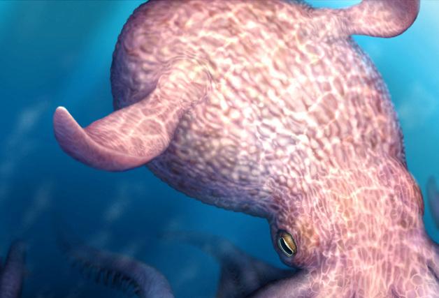 1억년 전 '크라켄' 있었나…최대 19m 거대 문어 화석 확인