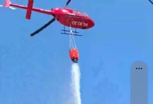 '담배꽁초 발화' 전남 화순 화학산 화재…임야 0.04㏊ 소실