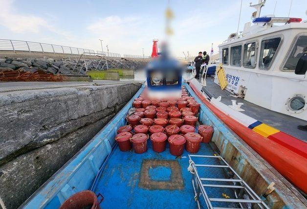 잠수장비 이용 해삼 1120㎏ 불법 채취…군산해경 4명 적발