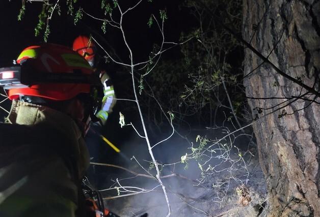 봉화 입산자 실화 추정 산불…1시간여 만에 주불 진화