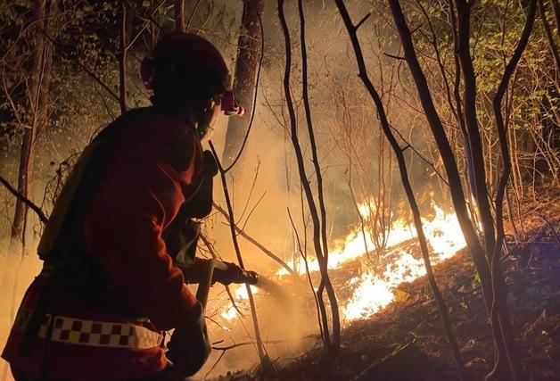 영월 야간 산불 3시간 만에 진화…주민 14명 긴급 대피(종합)