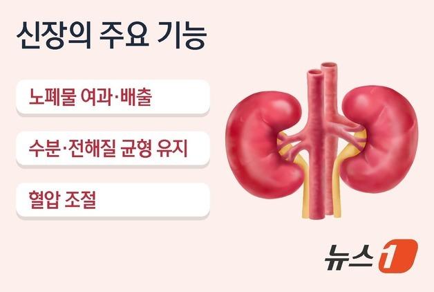 "붓고 피곤하다면"…'콩팥병' 환자 10년새 2배 늘었다