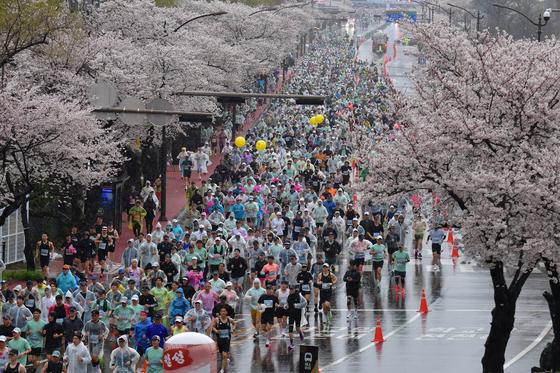 '벚꽃 아래서 달리는 마라톤'