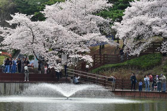 대구·경북 3월 기온 평년보다 높아…9년째 온난화 흐름