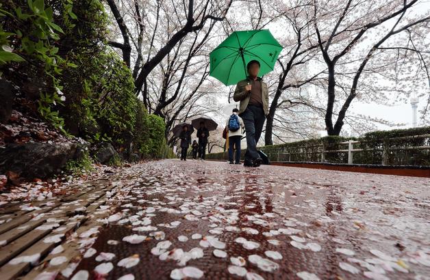 [오늘의 날씨]대구·경북(10일, 금)…아침까지 비, 낮 15~22도