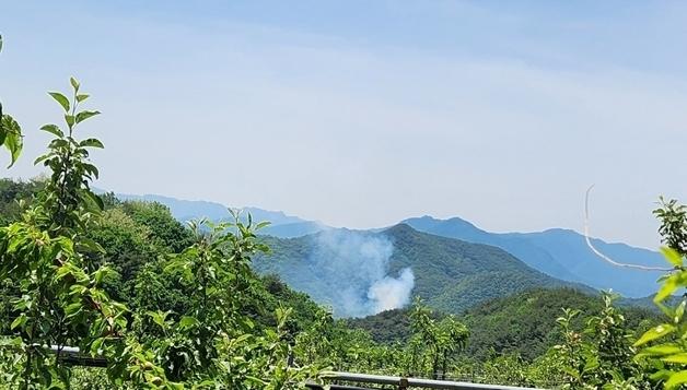 단양 대강면 야산서 불…0.04㏊ 소실