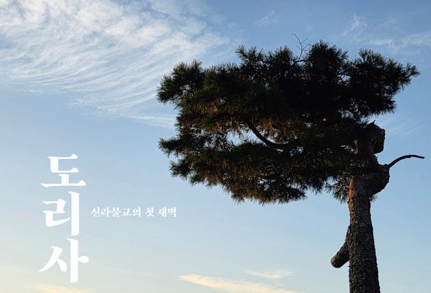 도리사부터 금오산까지…구미에서 찾은 신라불교의 뿌리