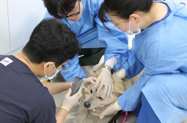 보호동물 봉사 가서 위급한 생명 살린 해마루…워크숍 의미 달랐다