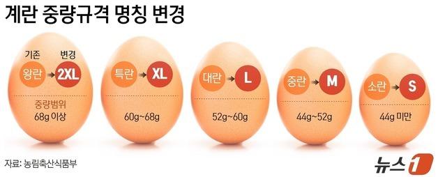 [그래픽] 계란 중량규격 명칭 변경