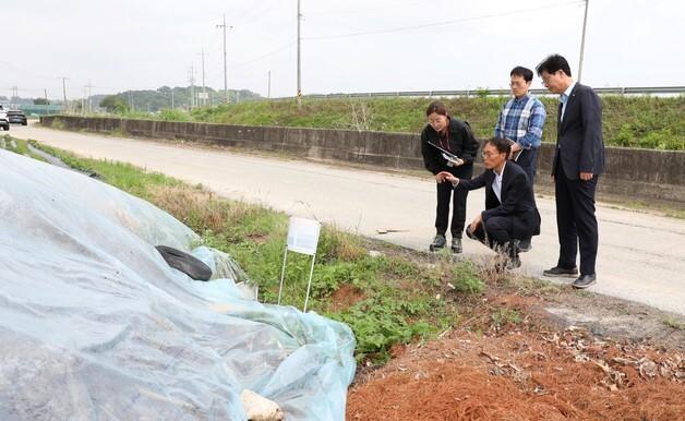 "팔당호 녹조도 막는다"…한강청, 장마철 전 야적퇴비 특별점검