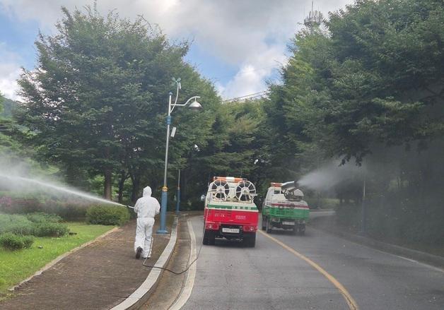 "건강한 숲 지킨다"…동부산림청 산림병해충 집중 관리