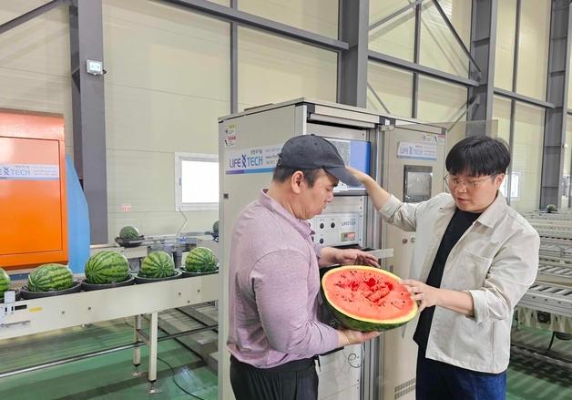 쿠팡, AI 선별 시스템 확대로 당도·신선도 높은 과일 새벽배송