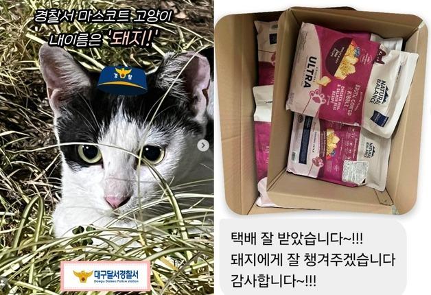 경찰서 마스코트 길고양이, 집 생기더니 반가운 선물 도착