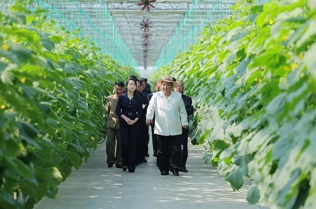 김정은의 신의주농장 방문이 보여주는 것