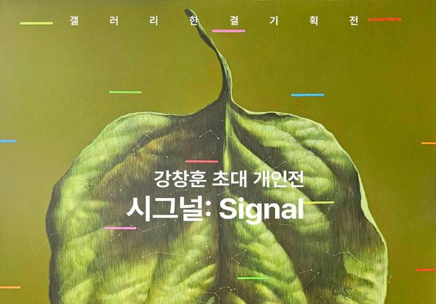 "나뭇잎에 투영한 영원의 기호"…강창훈 '시그널'전