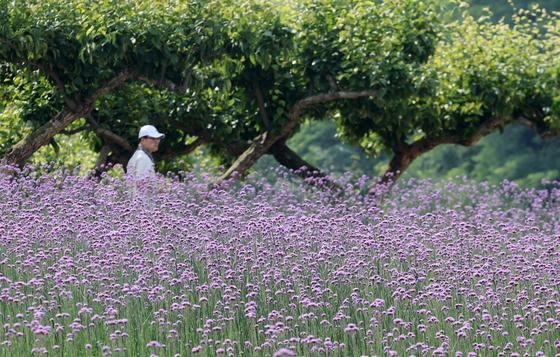 [오늘의 날씨]울산(12일, 금)…낮 최고 27도, 밤부터 구름 많음