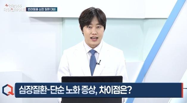 김예원 수의사 "반려동물 심장병, 가장 쉬운 확인법은 호흡수"