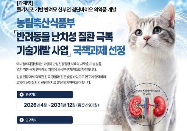 애니컴메디컬센터 '고양이 신부전 줄기세포 치료제' 국책과제 진행