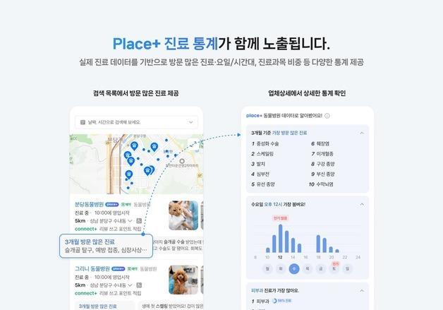 "재방문률 높은 동물병원은?"…네이버 '플레이스 플러스'로 찾는다