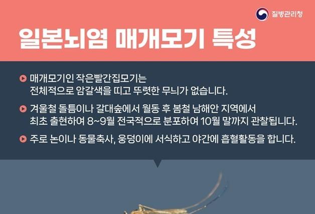 대구서 일본뇌염 바이러스 모기 발견…"전국 경보 발령"