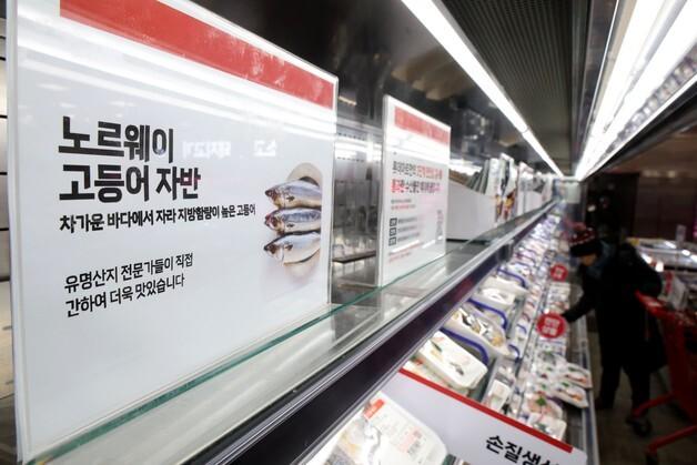 수입수산물 유통이력 관리 강화…해수부, 냉동 고등어 등 5개 품목 추가