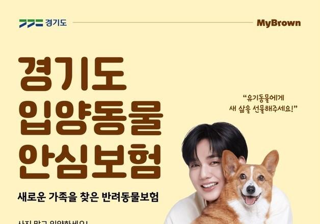 마이브라운, 경기도 입양동물 안심보험 지원…의료비 부담 완화  