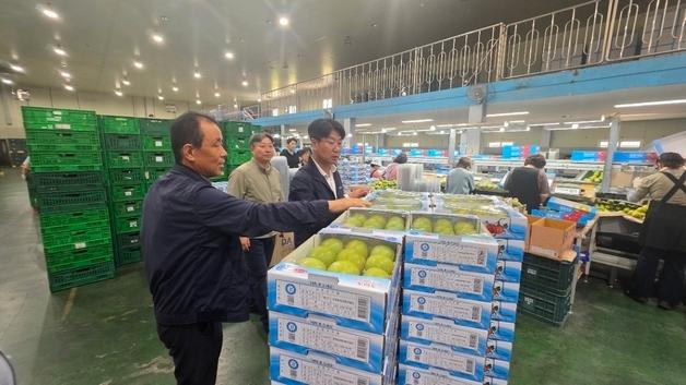 강원농협, 성출하 맞은 청정 춘천 농산물 유통 상황 점검