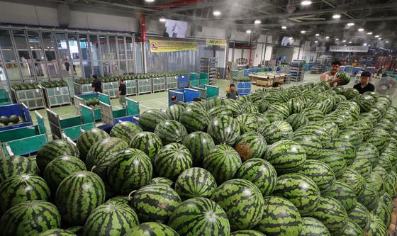 초복 더위 씻어줄 수박