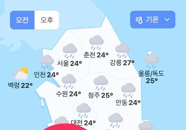 다음 날씨서 '광주' 사라졌다…'서구' 표기, 광주·전남 통합으로 개편