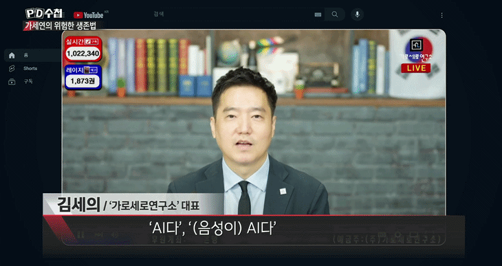 "가세연 김세의, 김수현·김새론 '거짓 방송'으로 최소 1.2억 벌었다"