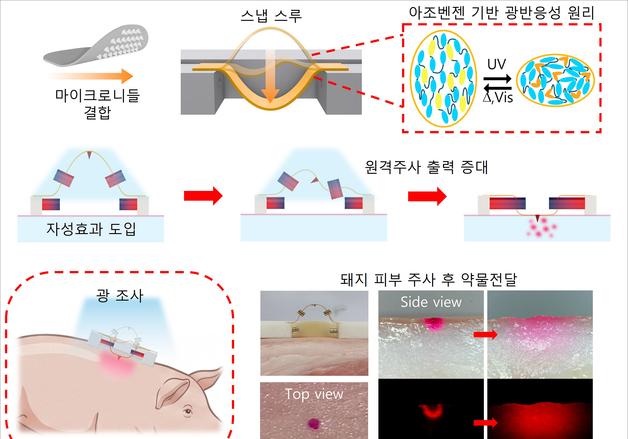 빛으로 움직이는 미세 바늘…부경대, 피부 삽입 기술 개발