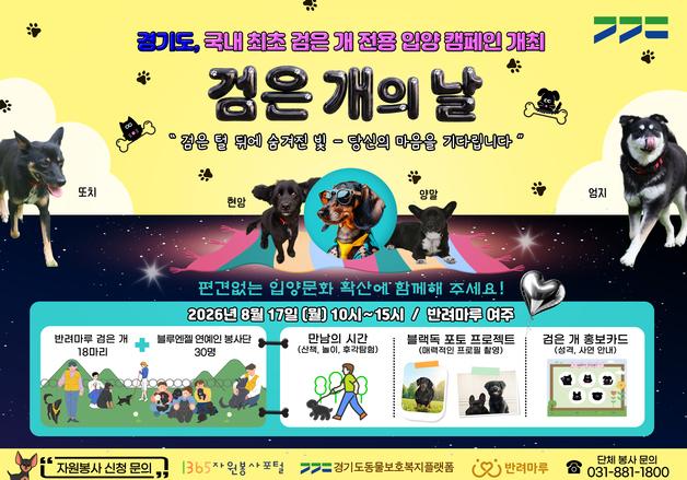 "검은 털이 어때서"…경기도, 17일 '검은 개의 날' 입양 캠페인