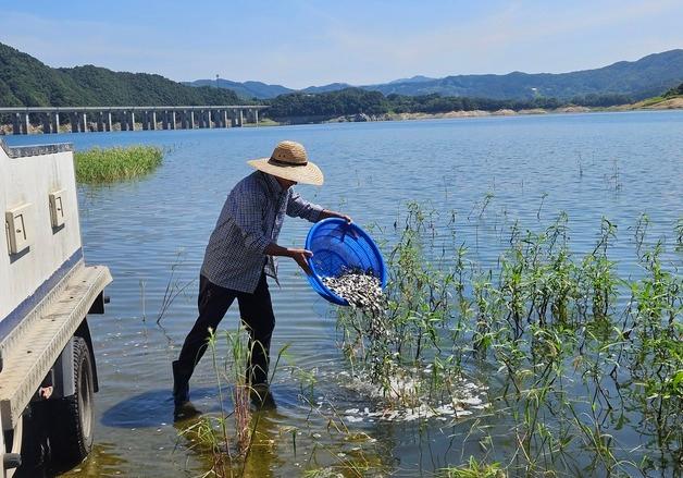 진안군, 용담호와 공공용 수면에 붕어 치어 22만 마리 방류